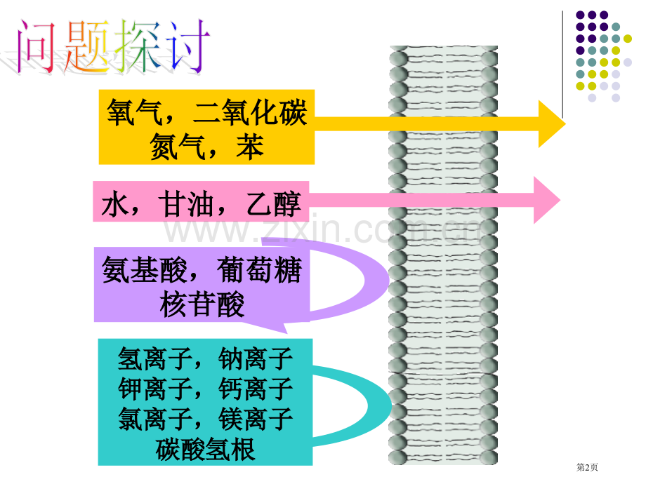 物质跨膜运输的方式(0002)市公开课一等奖百校联赛获奖课件.pptx_第2页