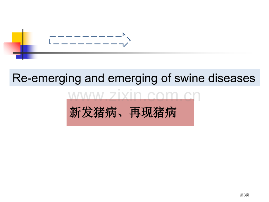 猪场生物安全-杨汉春市公开课一等奖百校联赛获奖课件.pptx_第3页