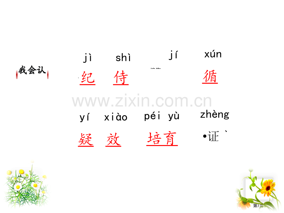 绿手指省公开课一等奖新名师优质课比赛一等奖课件.pptx_第3页