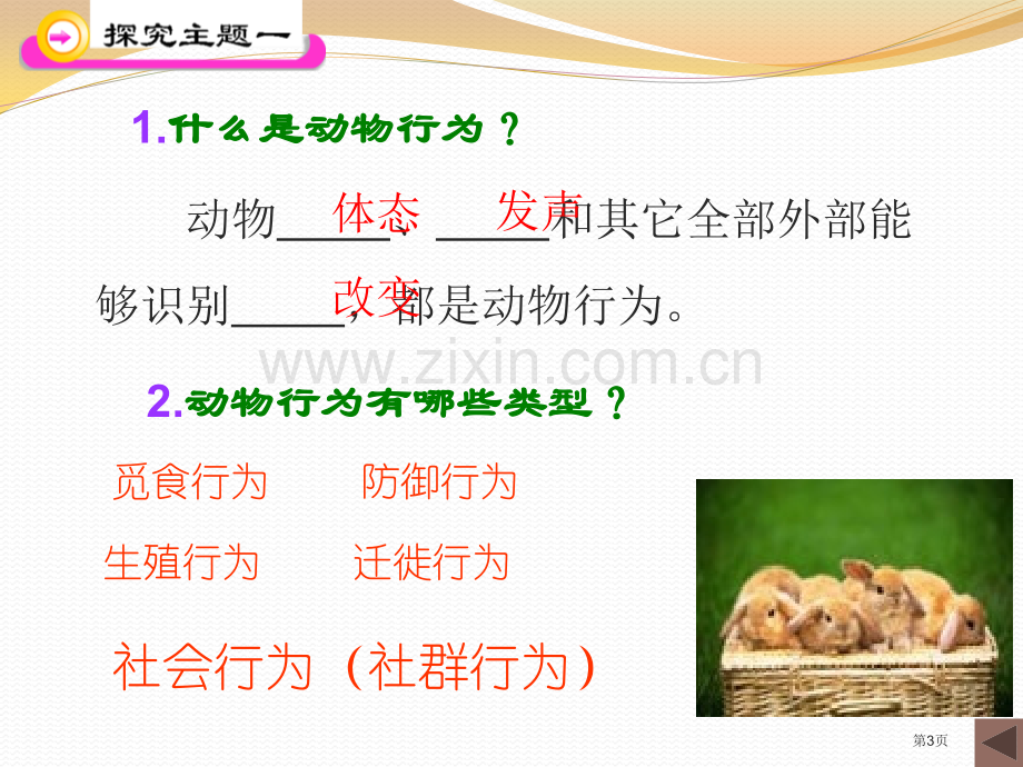 动物行为的主要类型课件省公开课一等奖新名师优质课比赛一等奖课件.pptx_第3页