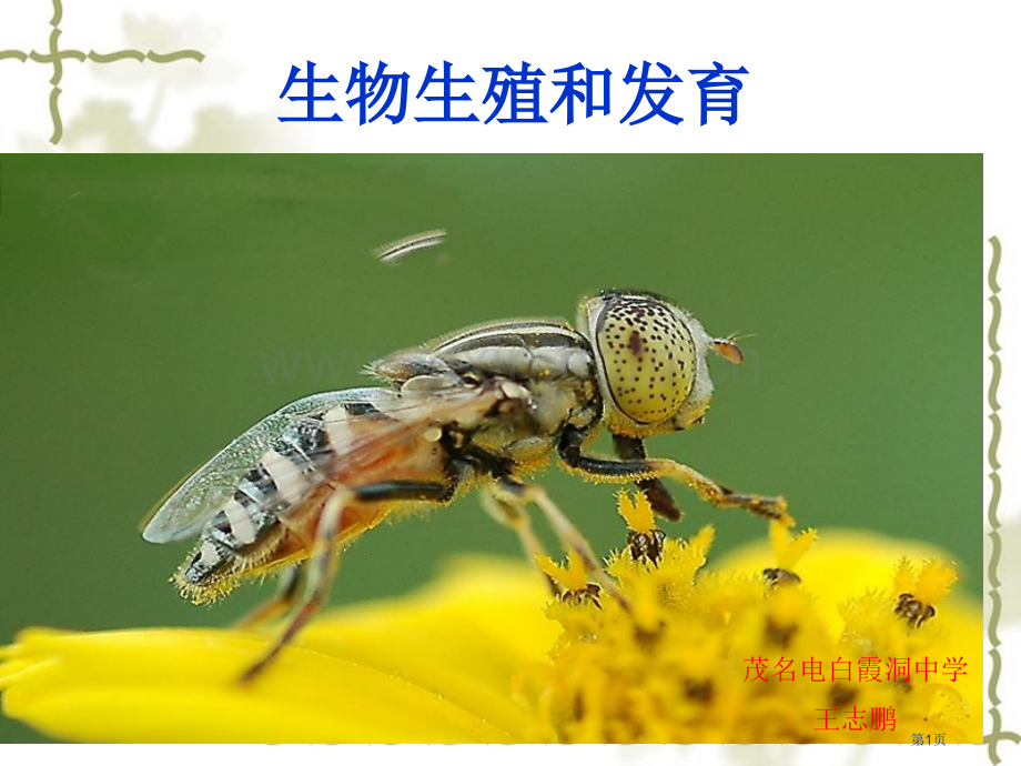 复习人教版八年级下册生物的生殖和发育省公共课一等奖全国赛课获奖课件.pptx_第1页