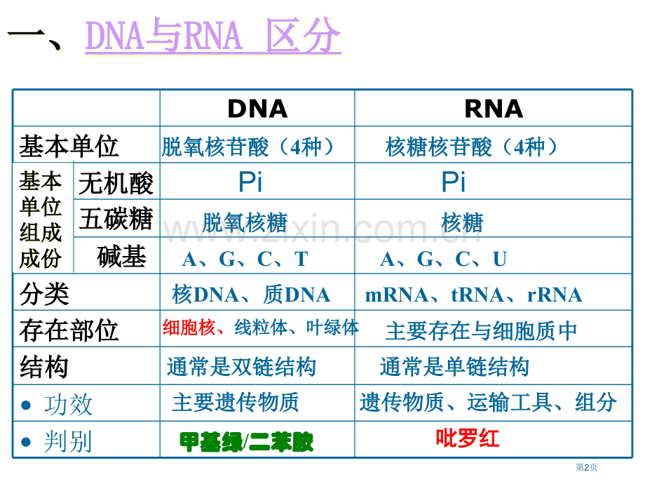 一轮复习基因的表达好市公开课一等奖百校联赛获奖课件.pptx_第2页