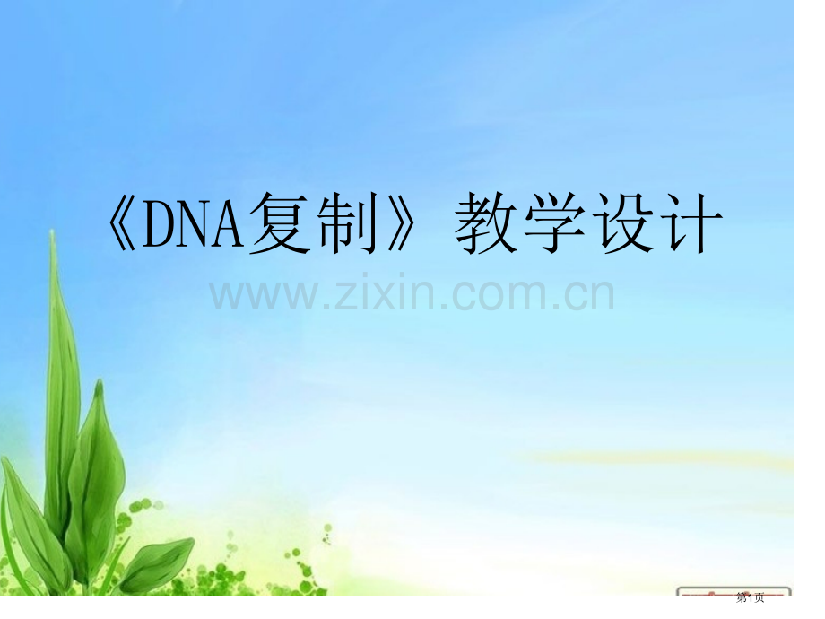 DNA复制说课稿省公共课一等奖全国赛课获奖课件.pptx_第1页