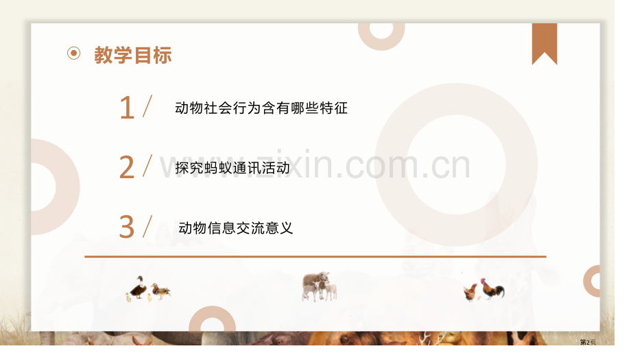 社会行为教学课件省公开课一等奖新名师优质课比赛一等奖课件.pptx_第2页