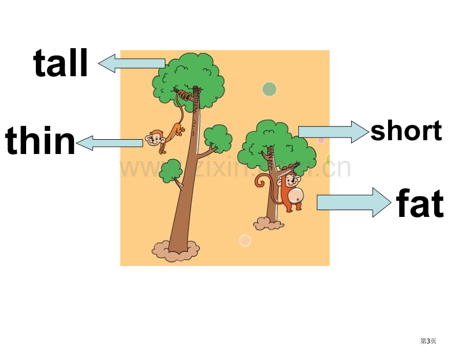 The-man-is-short省公开课一等奖新名师优质课比赛一等奖课件.pptx_第3页