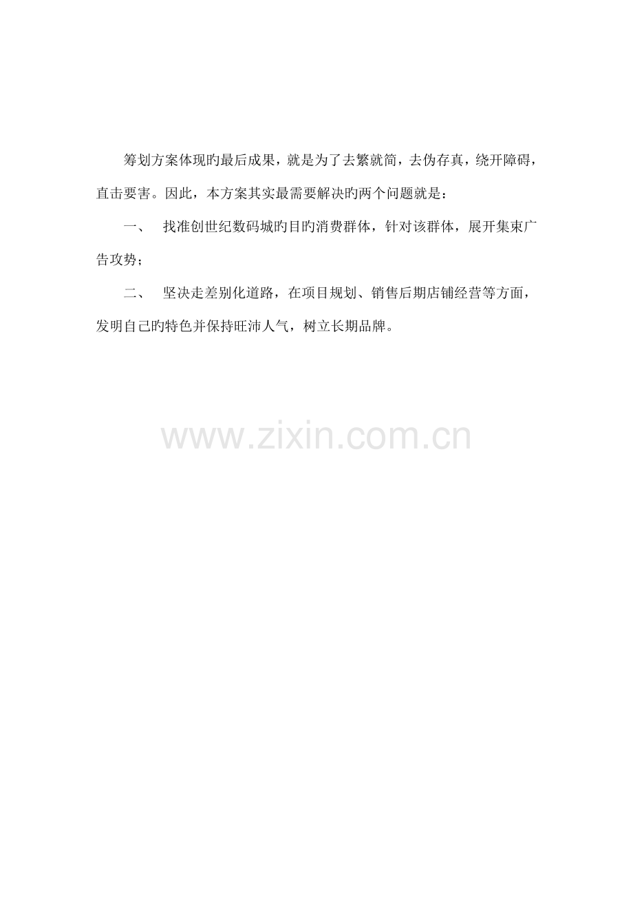 数码城全程营销专题策划专题方案.docx_第3页