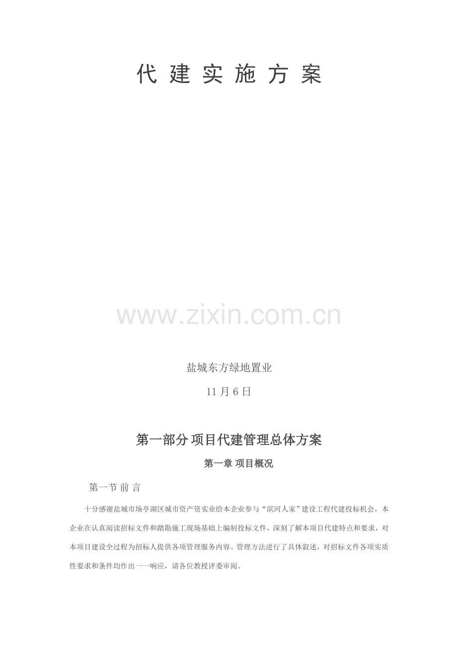 代建综合项目实施专项方案.docx_第1页