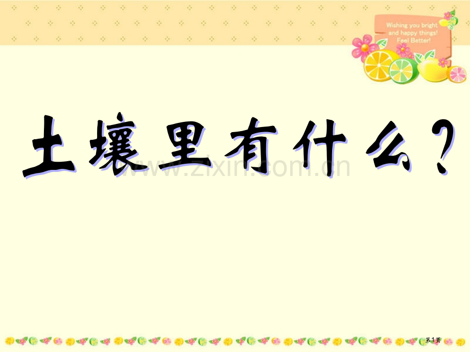 土壤里有什么省公开课一等奖新名师优质课比赛一等奖课件.pptx_第1页