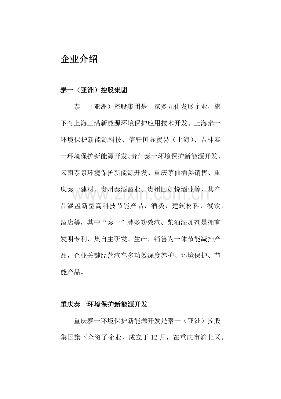 重庆泰一环保区域代理商指引手册模板.docx_第3页