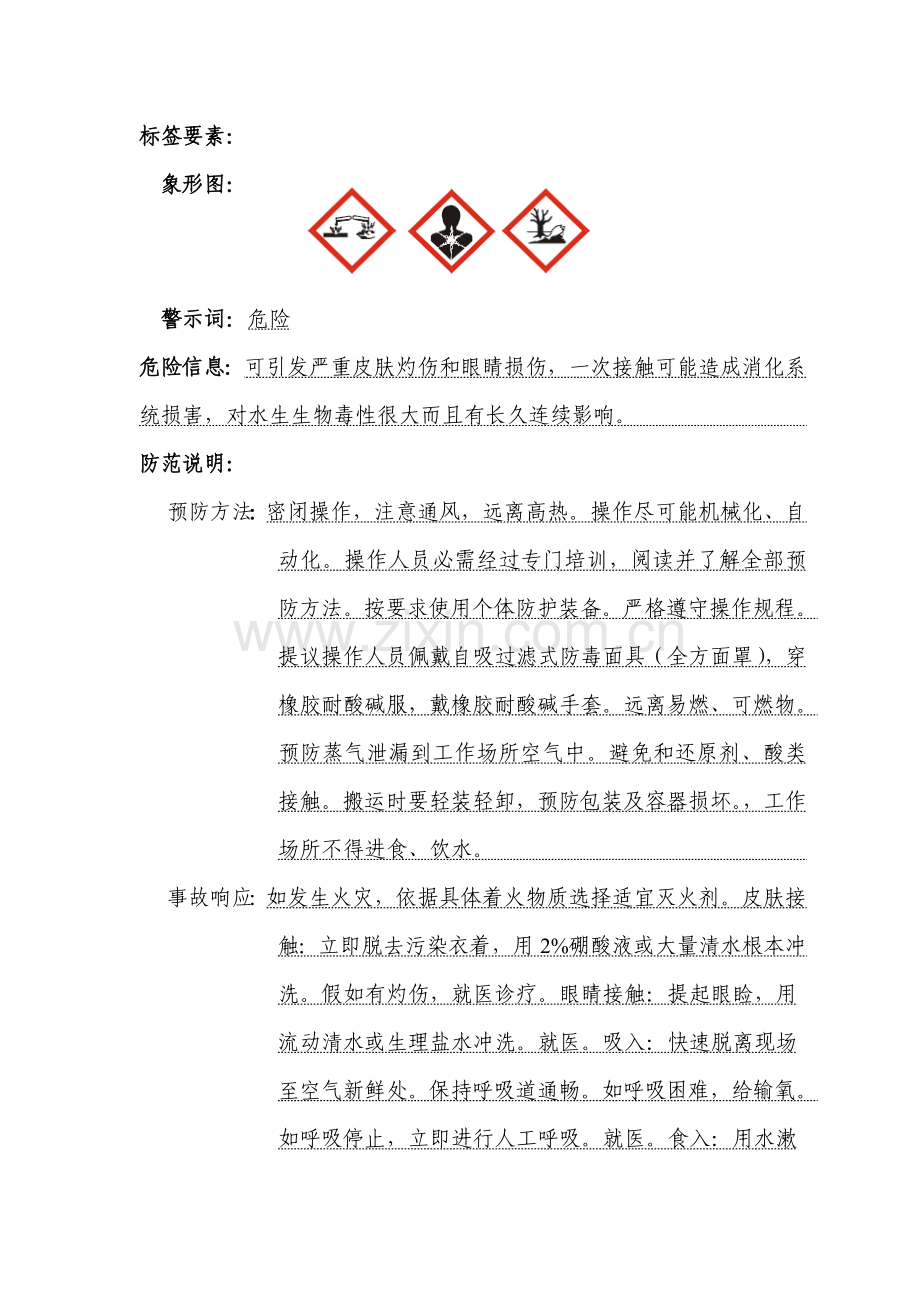 新版次氯酸钠安全核心技术新版说明书.doc_第2页