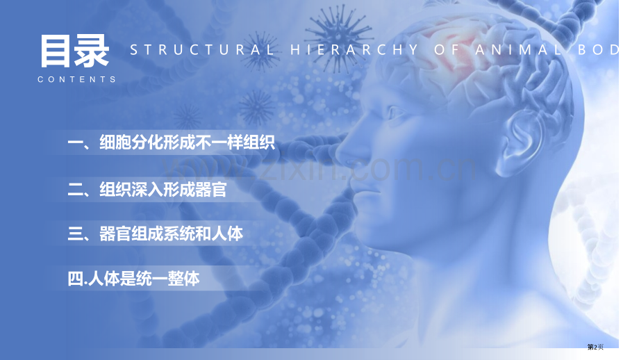 动物体的结构层次教学课件省公开课一等奖新名师优质课比赛一等奖课件.pptx_第2页