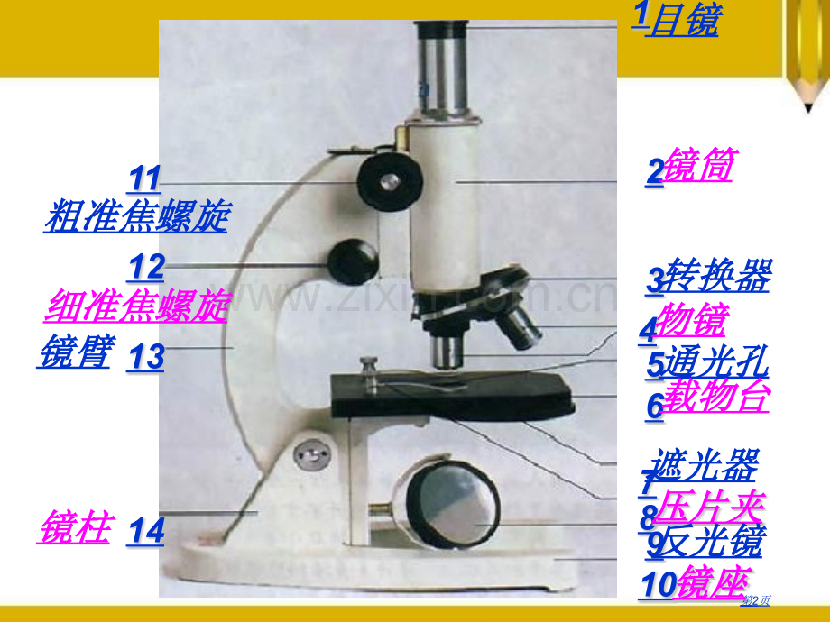 探索生命的方法课件省公开课一等奖新名师优质课比赛一等奖课件.pptx_第2页