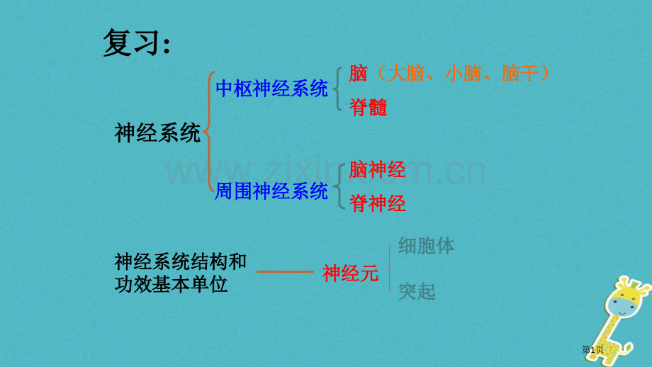 七年级生物下册4.6.3神经调节的基本方式人教版市公开课一等奖百校联赛特等奖大赛微课金奖PPT课件.pptx_第1页