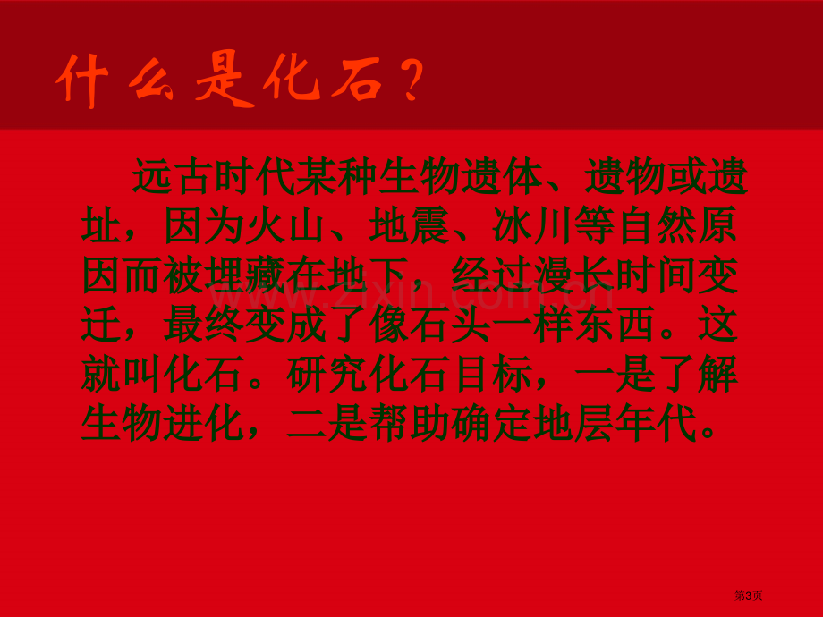 《化石吟》PPT专业知识市公开课一等奖百校联赛获奖课件.pptx_第3页