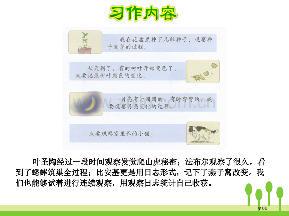 写观察日记省公开课一等奖新名师比赛一等奖课件.pptx_第3页