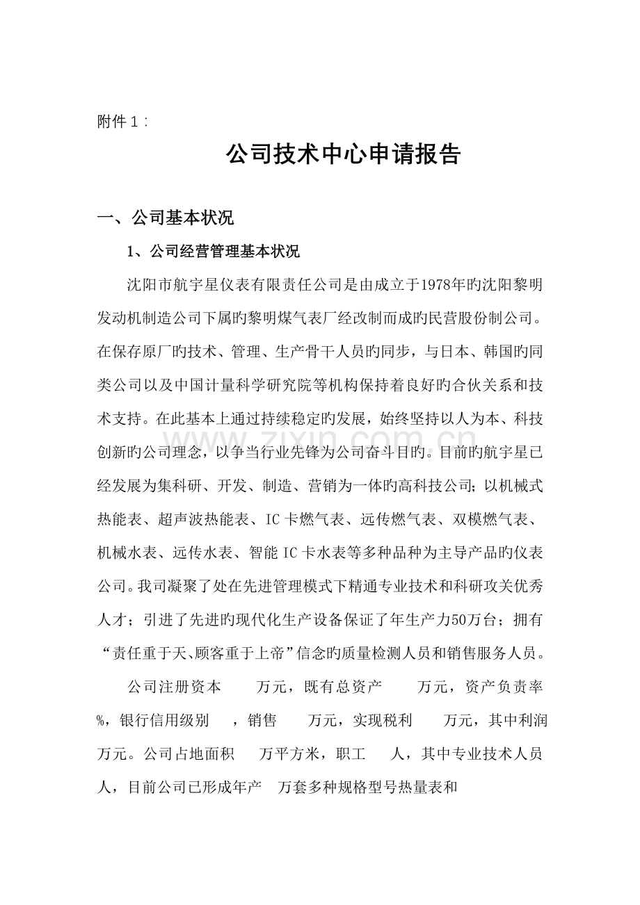 公司企业重点技术中心具体申请报告.docx_第1页