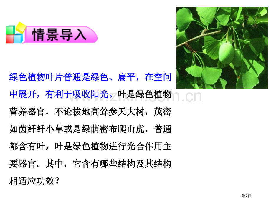 植物光合作用的场所教学课件省公开课一等奖新名师优质课比赛一等奖课件.pptx_第2页