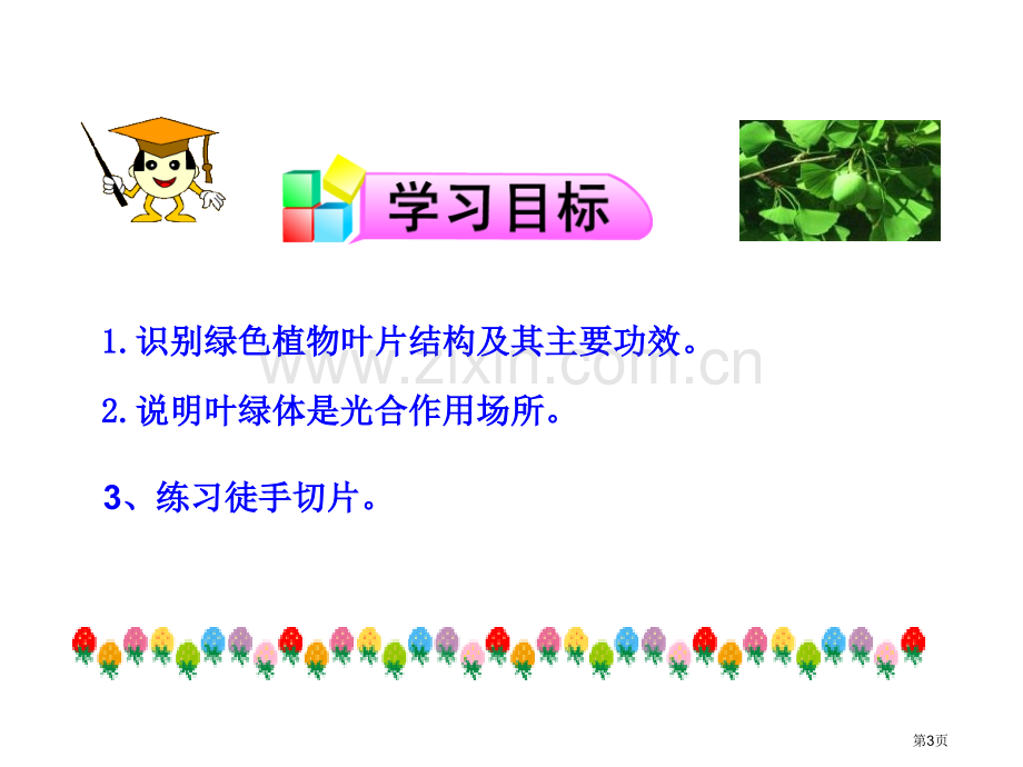 植物光合作用的场所教学课件省公开课一等奖新名师优质课比赛一等奖课件.pptx_第3页