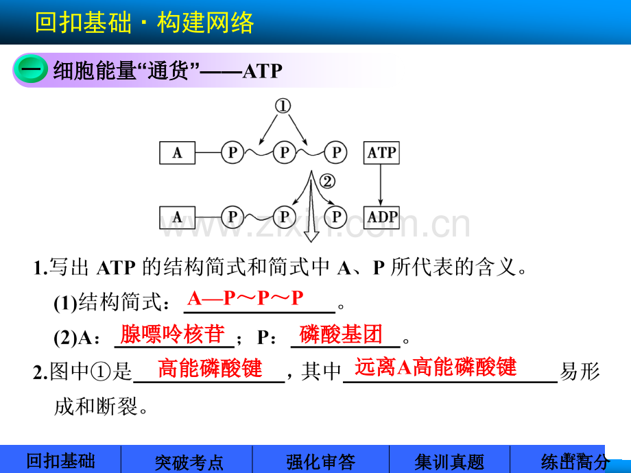 高考苏教版生物大一轮第7讲ATP和酶省公共课一等奖全国赛课获奖课件.pptx_第2页