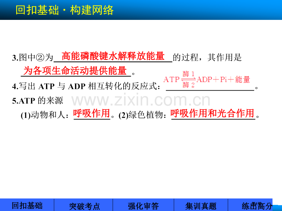 高考苏教版生物大一轮第7讲ATP和酶省公共课一等奖全国赛课获奖课件.pptx_第3页