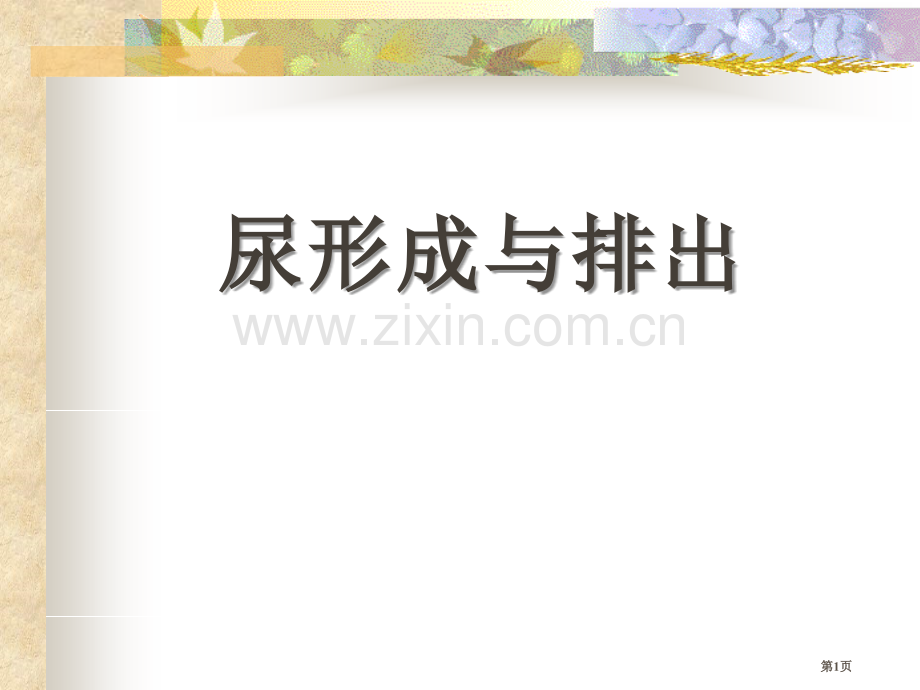 尿的形成与排出课件省公开课一等奖新名师优质课比赛一等奖课件.pptx_第1页