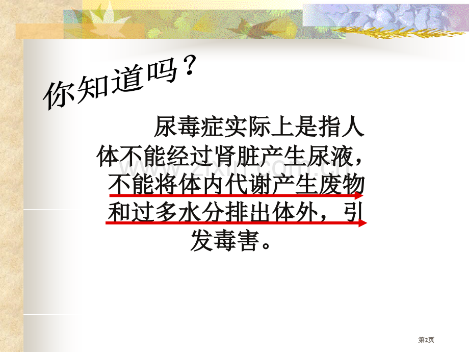 尿的形成与排出课件省公开课一等奖新名师优质课比赛一等奖课件.pptx_第2页