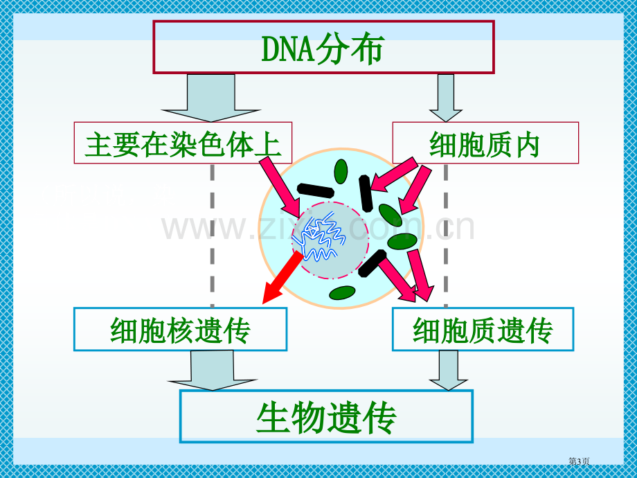 人教版新课标高中生物必修2精美DNA是主要的遗传物质省公共课一等奖全国赛课获奖课件.pptx_第3页