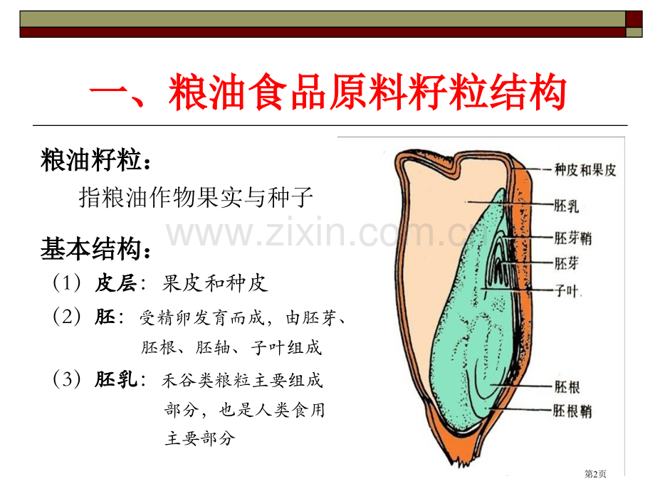 粮油食品原料的籽粒结构和化学组成省公共课一等奖全国赛课获奖课件.pptx_第2页