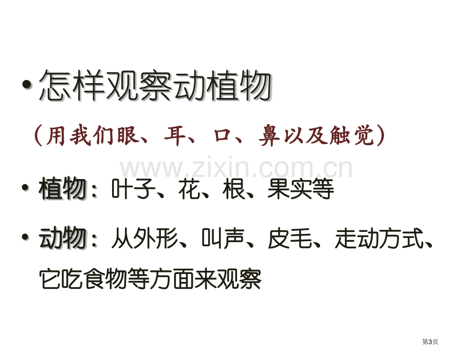 我们周围的动植物课件省公开课一等奖新名师优质课比赛一等奖课件.pptx_第3页