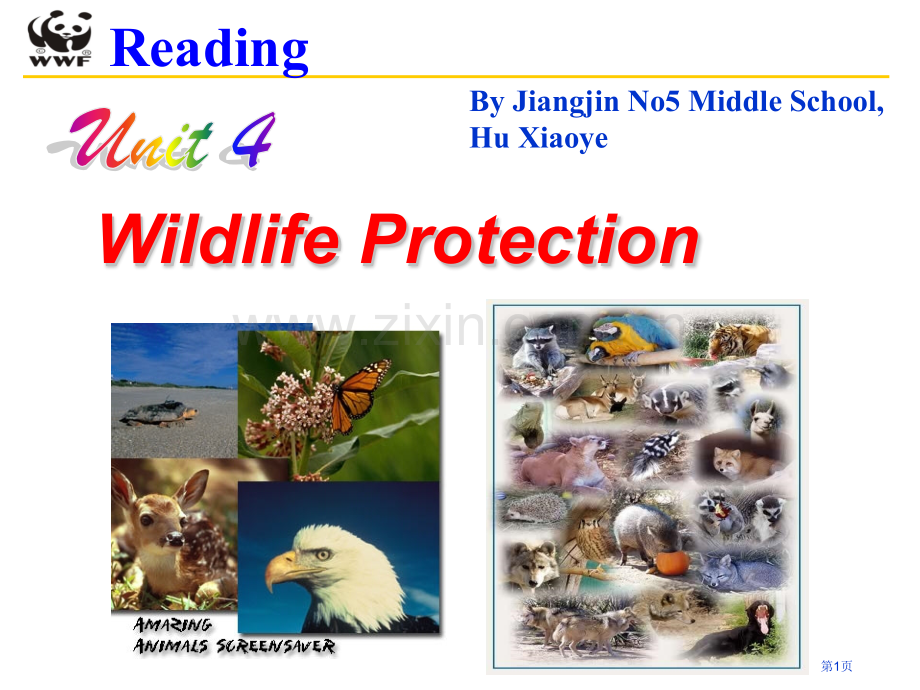 unit4wildlifeprotection省公共课一等奖全国赛课获奖课件.pptx_第1页