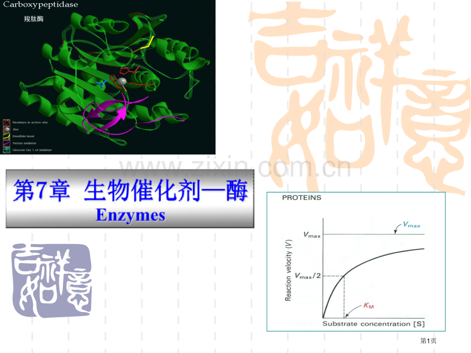 动物生物化学生物催化剂酶省公共课一等奖全国赛课获奖课件.pptx_第1页