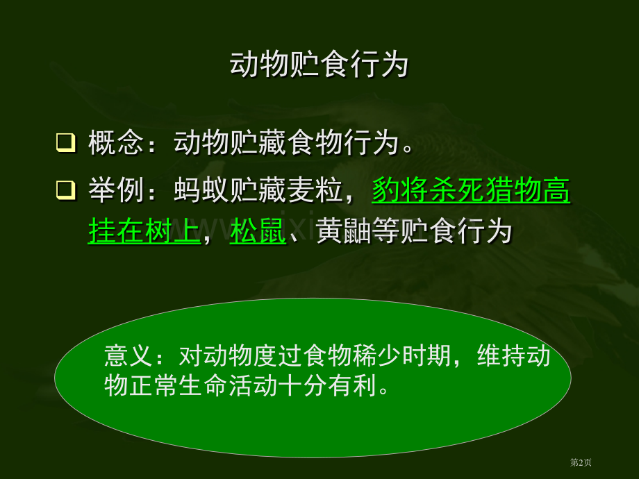 动物的行为课件省公开课一等奖新名师优质课比赛一等奖课件.pptx_第2页