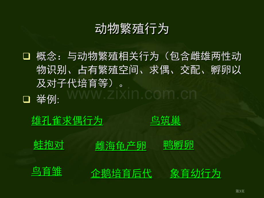 动物的行为课件省公开课一等奖新名师优质课比赛一等奖课件.pptx_第3页