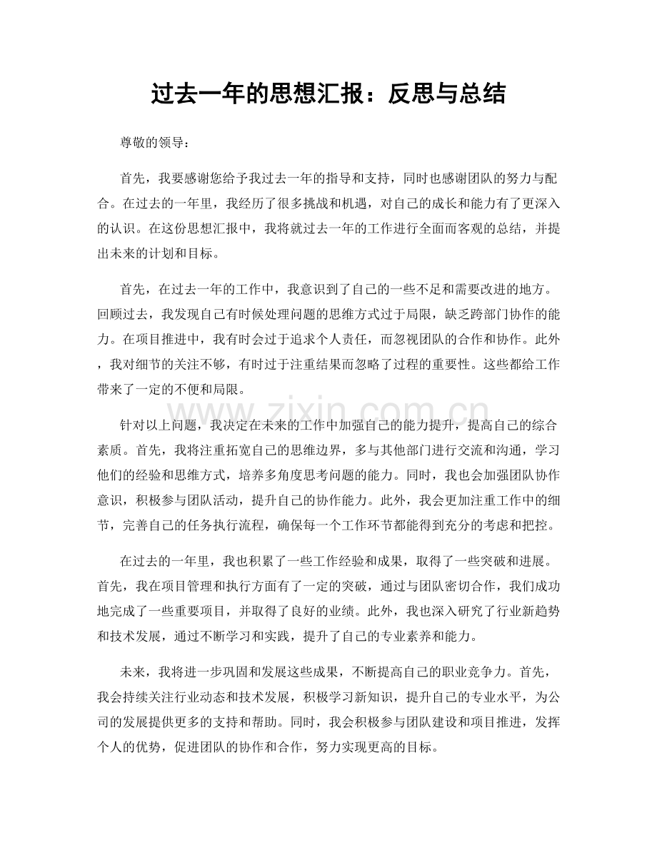 过去一年的思想汇报：反思与总结.docx_第1页