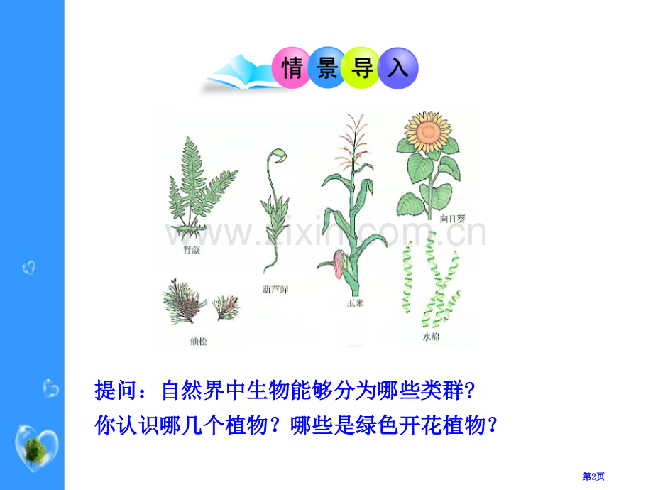 植物的主要类群省公开课一等奖新名师优质课比赛一等奖课件.pptx_第2页