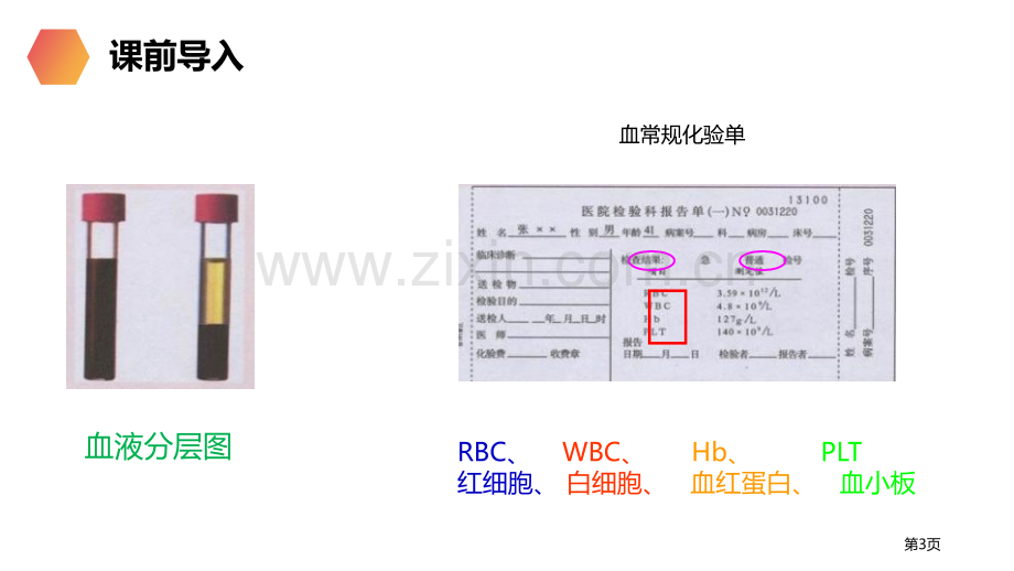 流动的组织-血液省公开课一等奖新名师优质课比赛一等奖课件.pptx_第3页