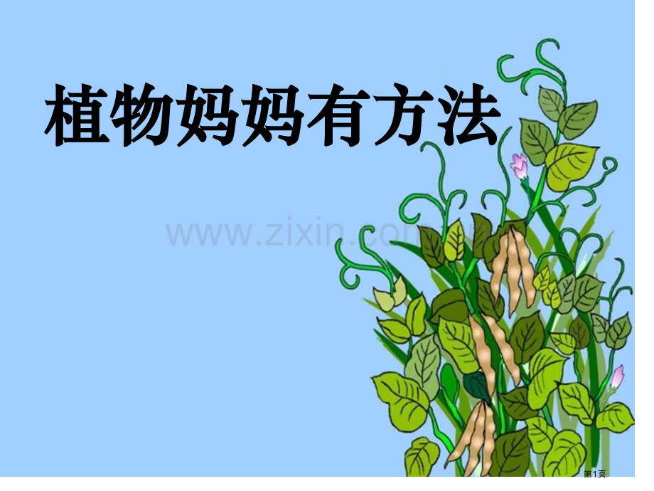 植物妈妈有办法省公开课一等奖新名师比赛一等奖课件.pptx_第1页