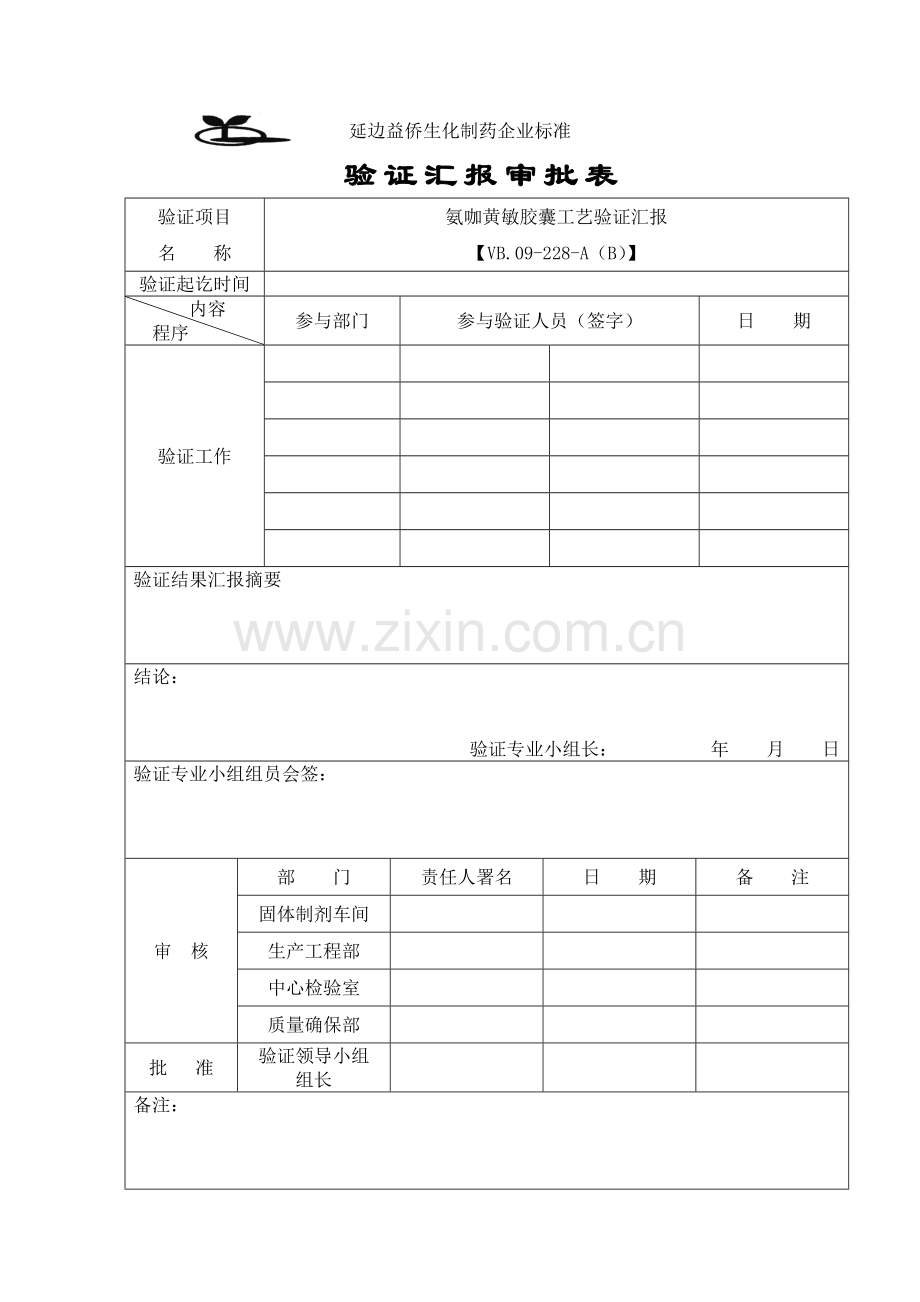 氨咖黄敏胶囊工艺验证报告模板.doc_第2页