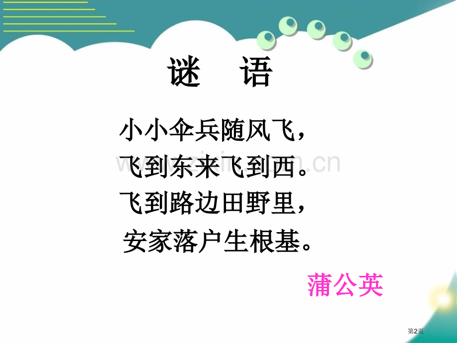 蒲公英的梦课件省公开课一等奖新名师比赛一等奖课件.pptx_第2页