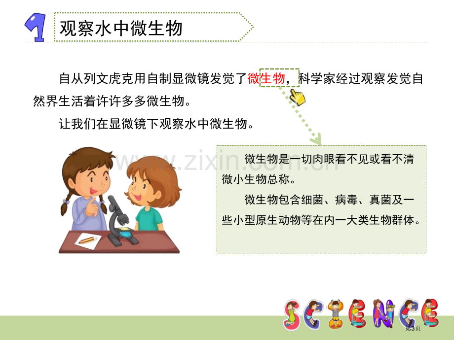 用显微镜观察身边的生命世界三微小世界省公开课一等奖新名师比赛一等奖课件.pptx_第3页