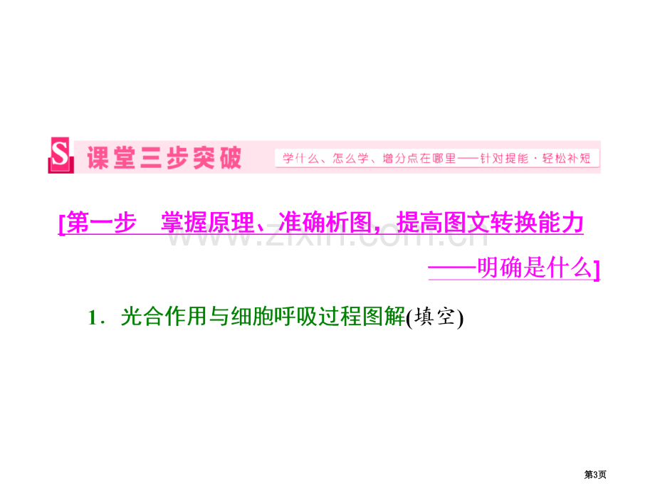 粤东名校张静中学年高考生物得分题省公共课一等奖全国赛课获奖课件.pptx_第3页