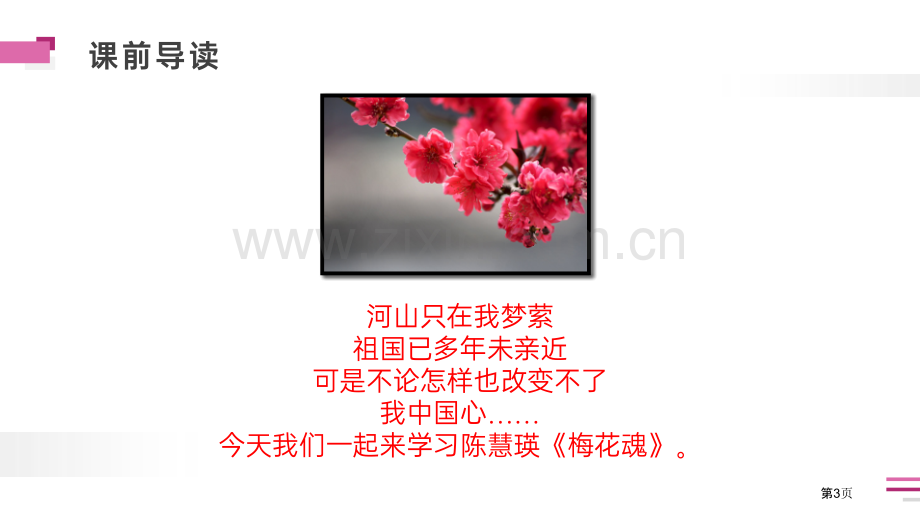 梅花魂PPT课件省公开课一等奖新名师比赛一等奖课件.pptx_第3页