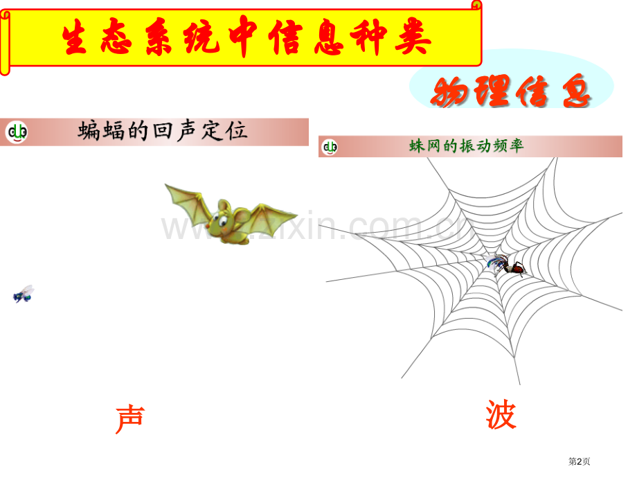 生态系统的信息传递市公开课一等奖百校联赛获奖课件.pptx_第2页