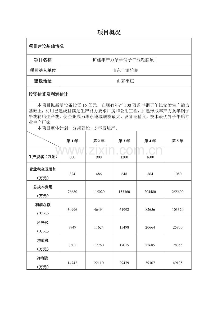 扩建年产万条半钢子午线轮胎项项目建议书模板.doc_第2页