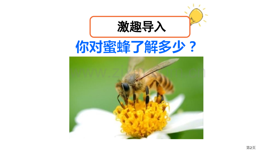 蜜蜂ppt省公开课一等奖新名师比赛一等奖课件.pptx_第2页