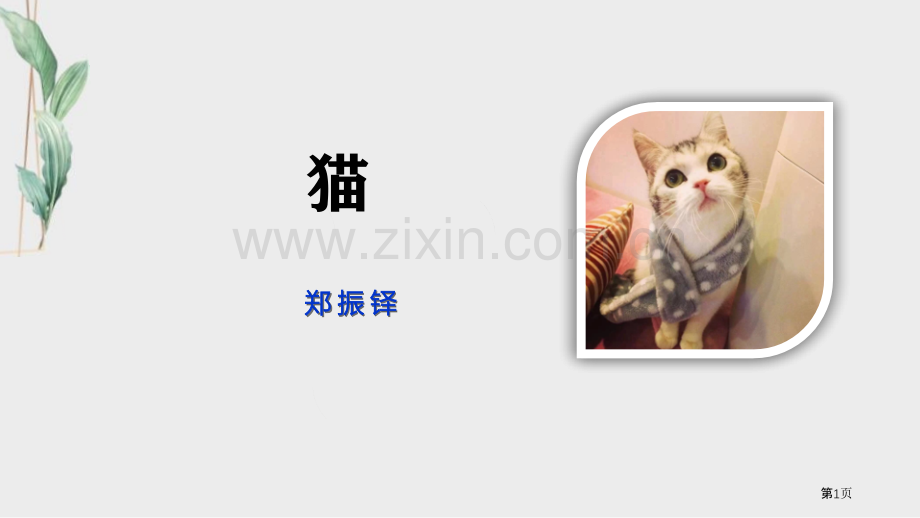 猫教学课件省公开课一等奖新名师比赛一等奖课件.pptx_第1页