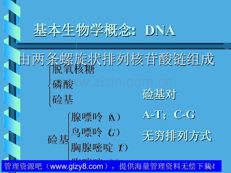 电离辐射的生物效应省公共课一等奖全国赛课获奖课件.pptx_第3页