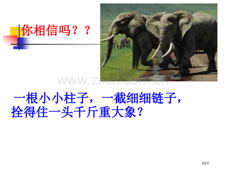 行为习惯养成主题班会省公共课一等奖全国赛课获奖课件.pptx_第2页