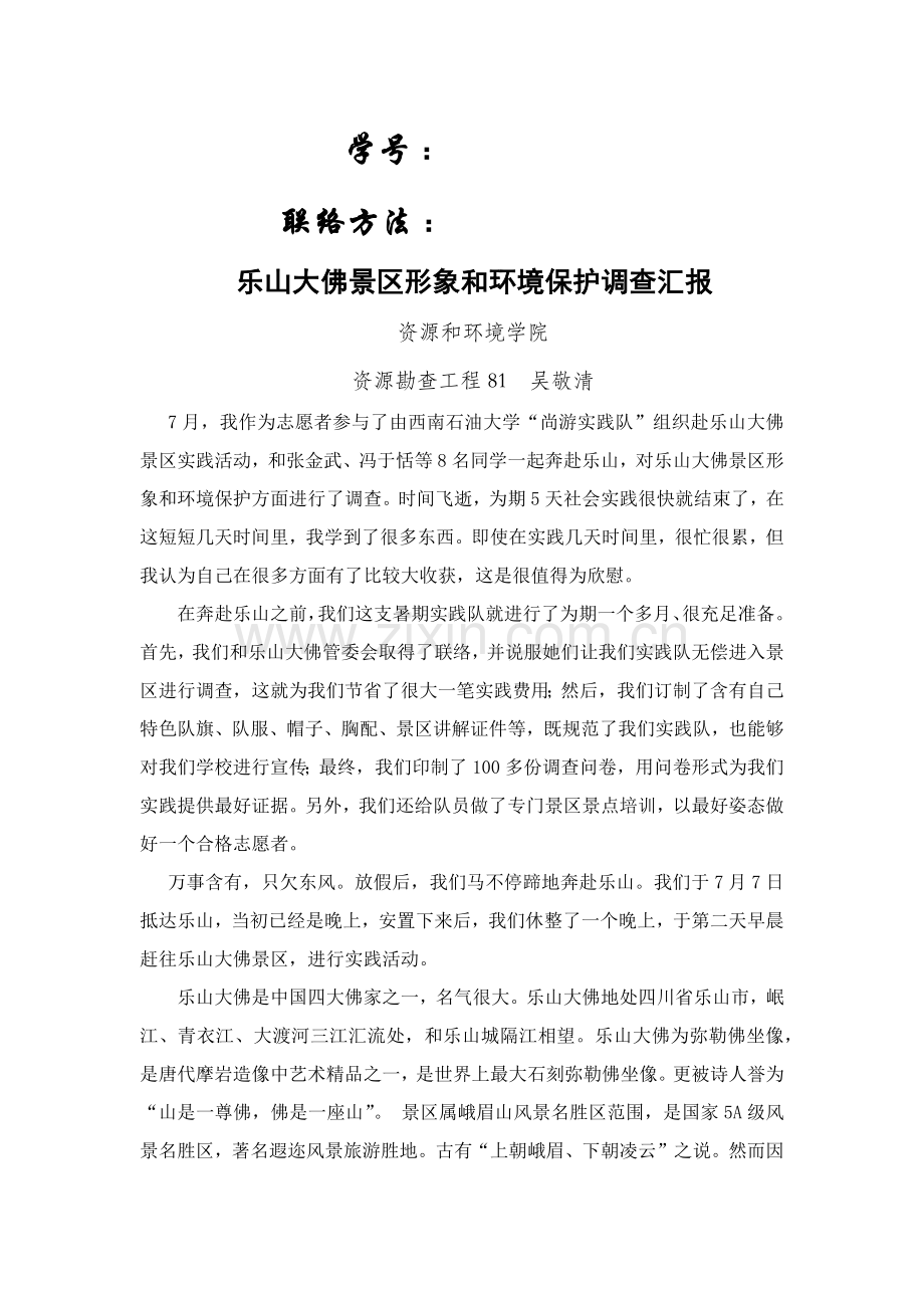 暑期实践报告乐山大佛景区调查分析报告.docx_第2页