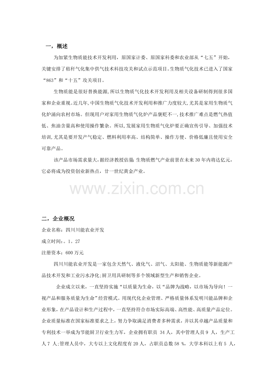 能源气化有限公司商业计划书样本.doc_第1页